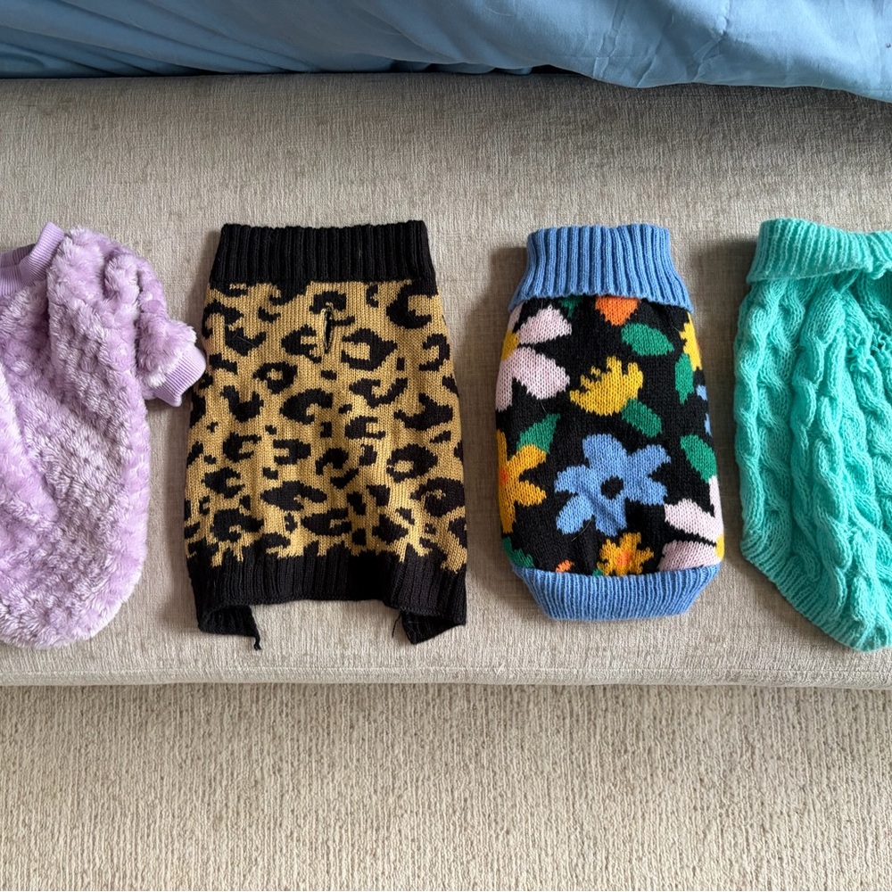 Colorful Pet Sweater Set